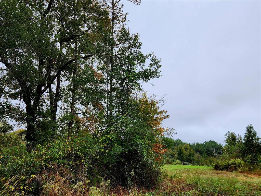 An example of some of the large clearings amongst the wooded areas.