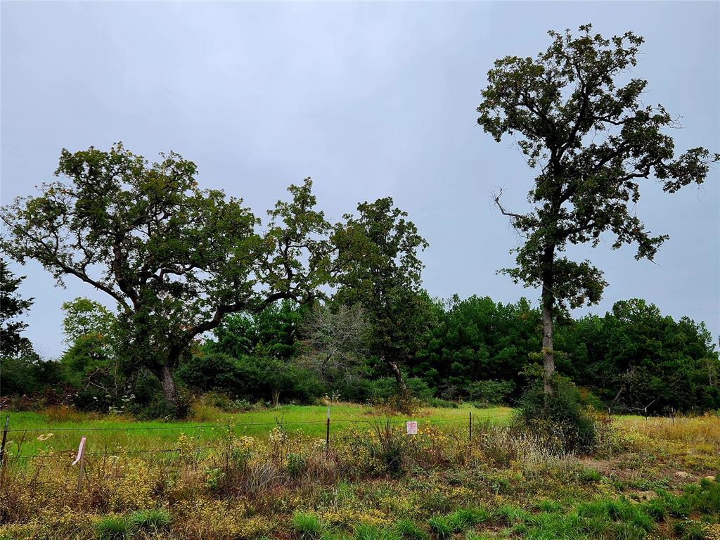 View of this property from the middle of CR 261.