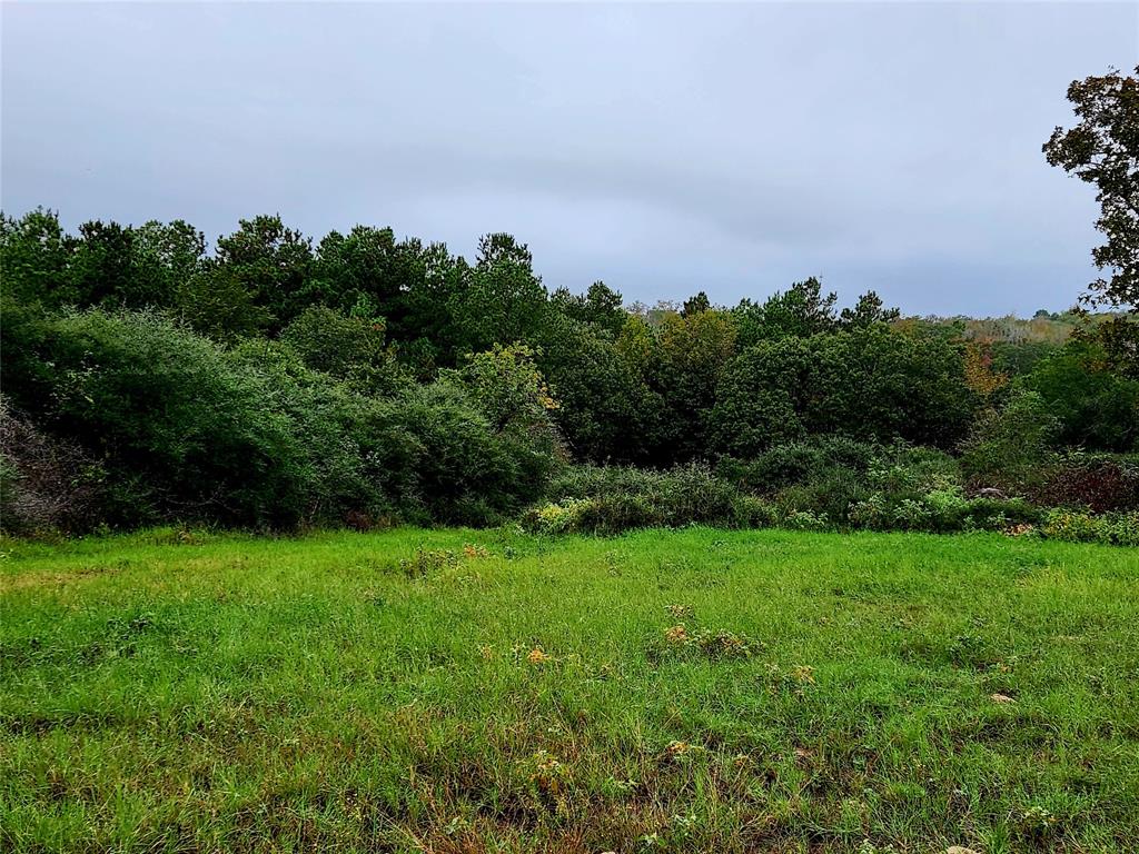 Another view of the hilltop area.