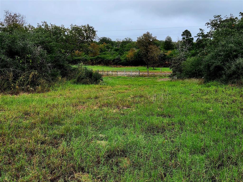 View of the front gates and CR 261 from the hilltop area.