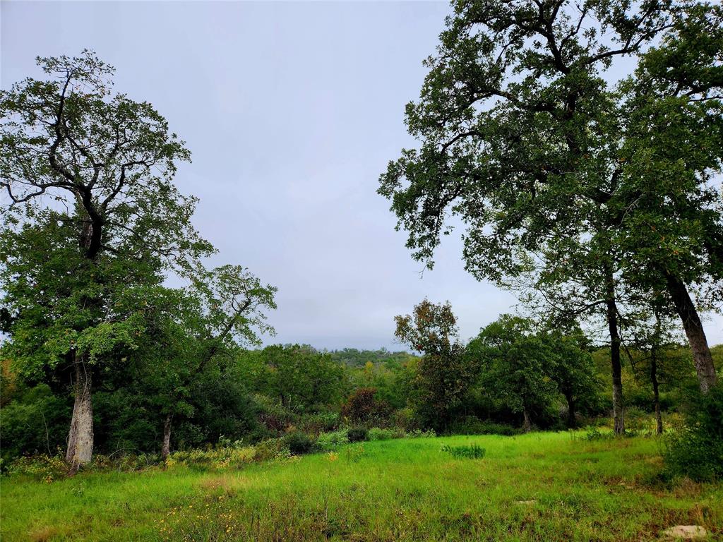 View of one of the corners at CR 261.