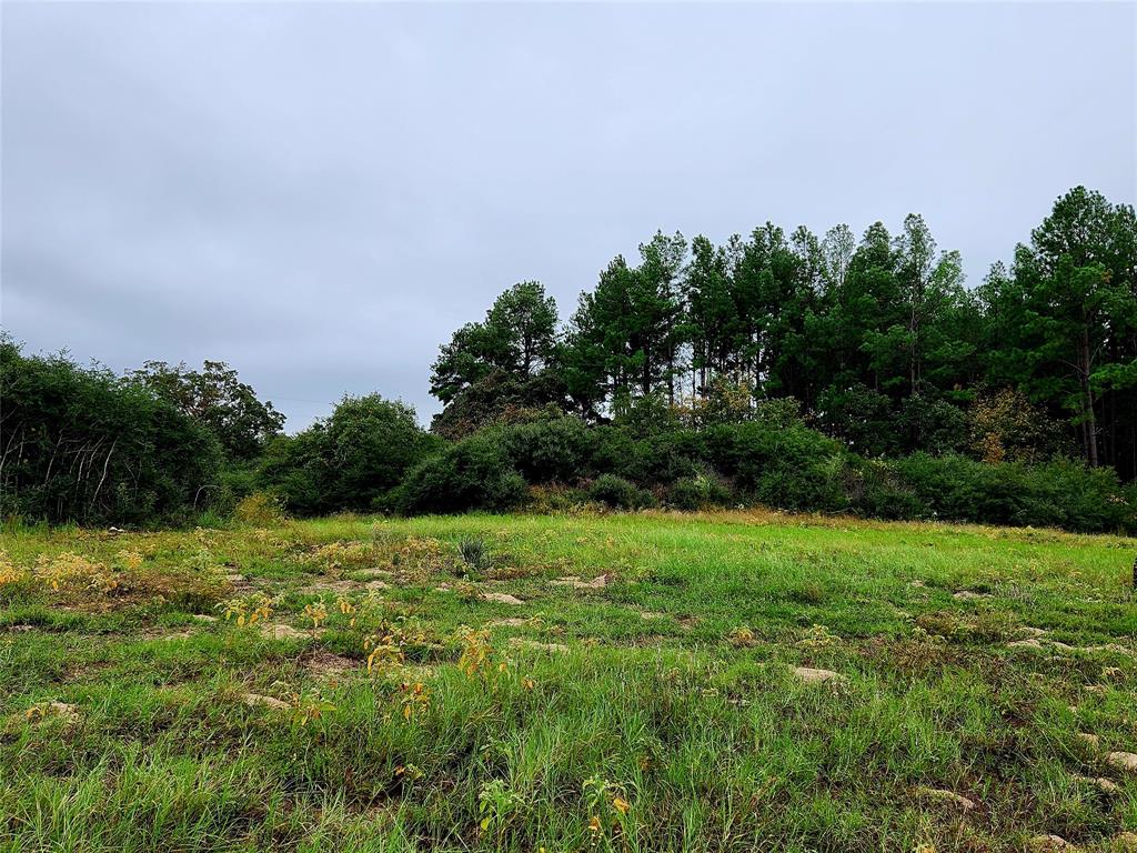 Large hilltop area with nice build areas.