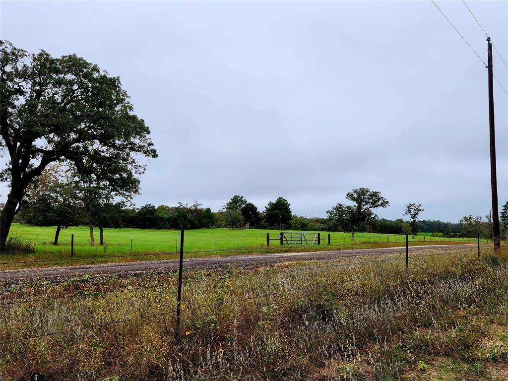 View looking from the 40 acres across CR 261. Pretty and well maintained pasture land.