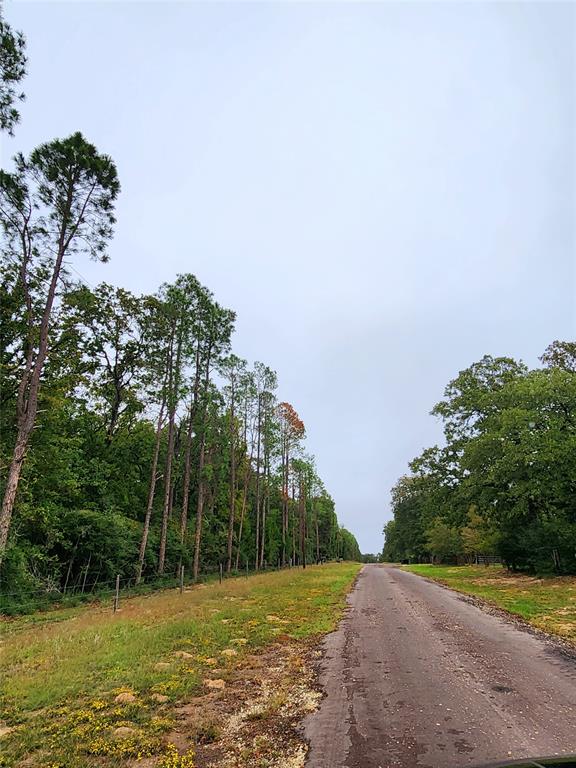 County Road Frontage to CR 261.