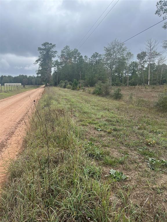 TBD County Road 4502  , Hillister, Texas image 7