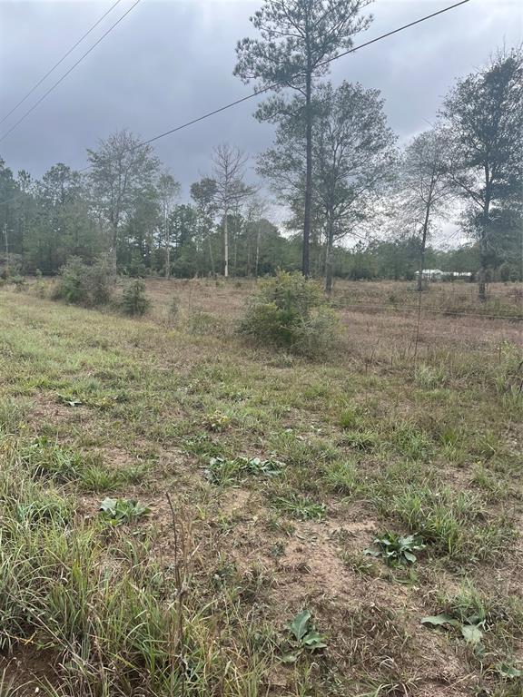 TBD County Road 4502  , Hillister, Texas image 9