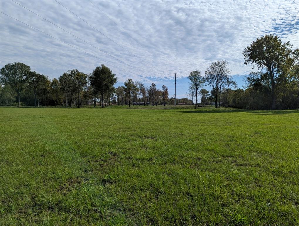 This is a 19.5 acre tract of land ready for you to build on, subdivide, use for hay production and /or fence and raise cattle.  Mostly cleared with some trees on the south end. This property also has county road frontage on CR 117 a/k/a No. 3 Pump Road. Residential use is for new construction or new mobile-manufactured homes only. Does not appear to be in a flood plain according to the Liberty County CAD flood plain map.
Survey attached.