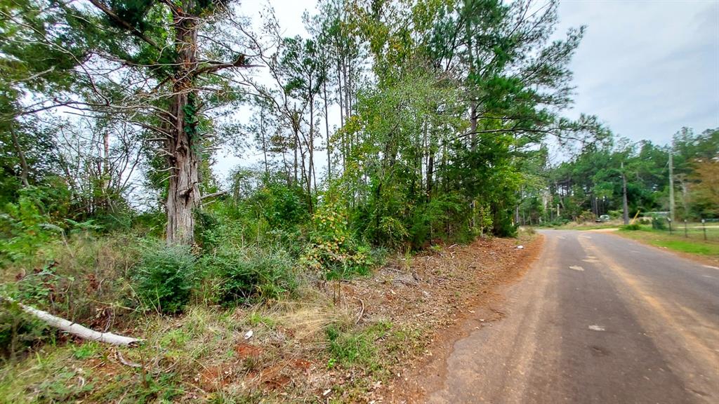 Nicely shaped property with easy access to town. Paved road frontage. Clean slate for someone who dreams of living in the country.