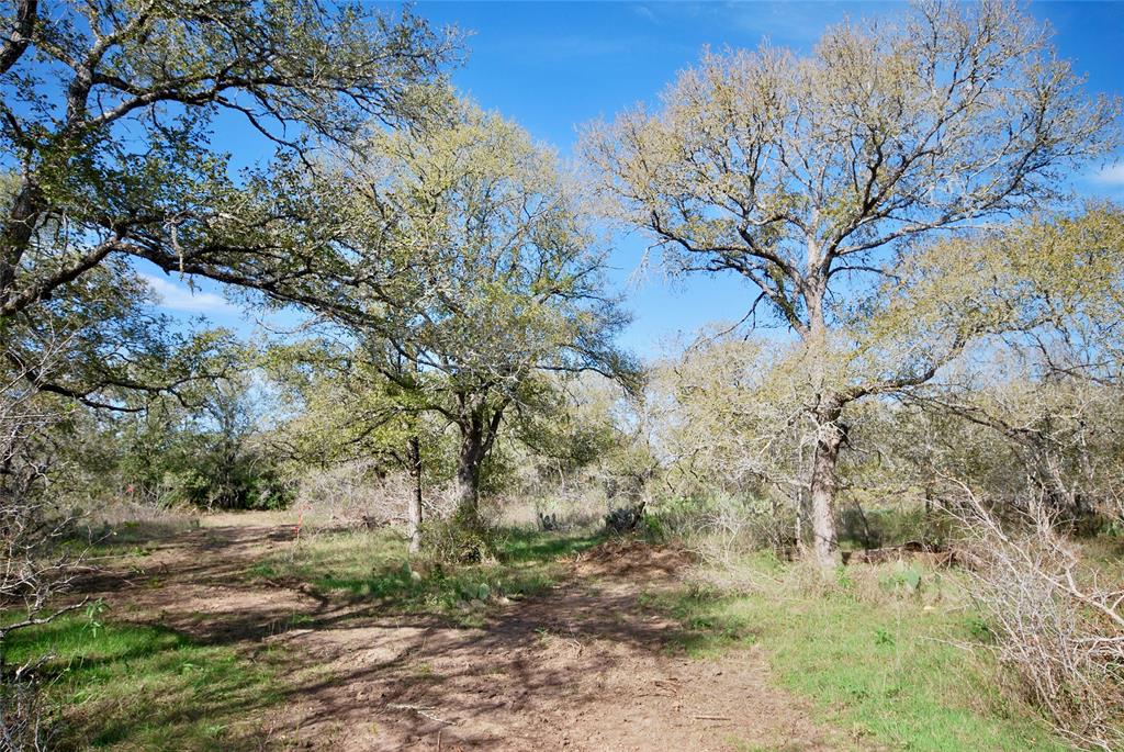 13.5 acres dotted with post oak trees and native brush, featuring multiple building sites, this property is a blank canvas ready for you to build or enjoy as a recreational property!  Features a new entrance, and newly cut trails for exploring the property. Small acreage tracts are few and far between in this area. The county road is well maintained. Located in a great school district, Moulton ISD, this property is centrally located between Houston, Austin, and San Antonio. 10 miles south of I-10, for easy access to and from the Interstate. Light restrictions in place to protect your investment. Electricity nearby. Additional acreage available, ask listing agent for details.