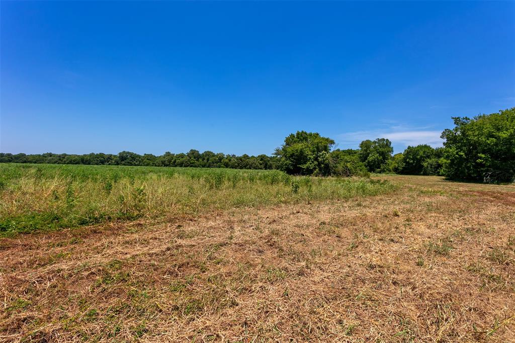 0000 Fm 413 / County Road 246  , Marlin, Texas image 11