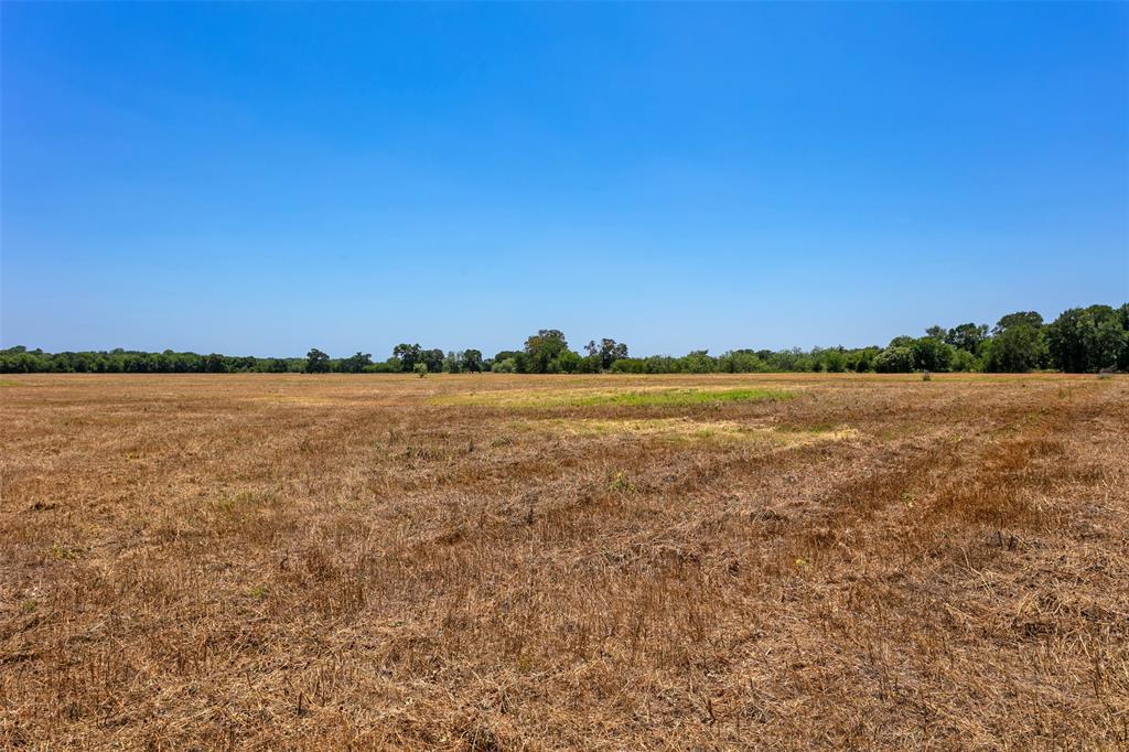 0000 Fm 413 / County Road 246  , Marlin, Texas image 14