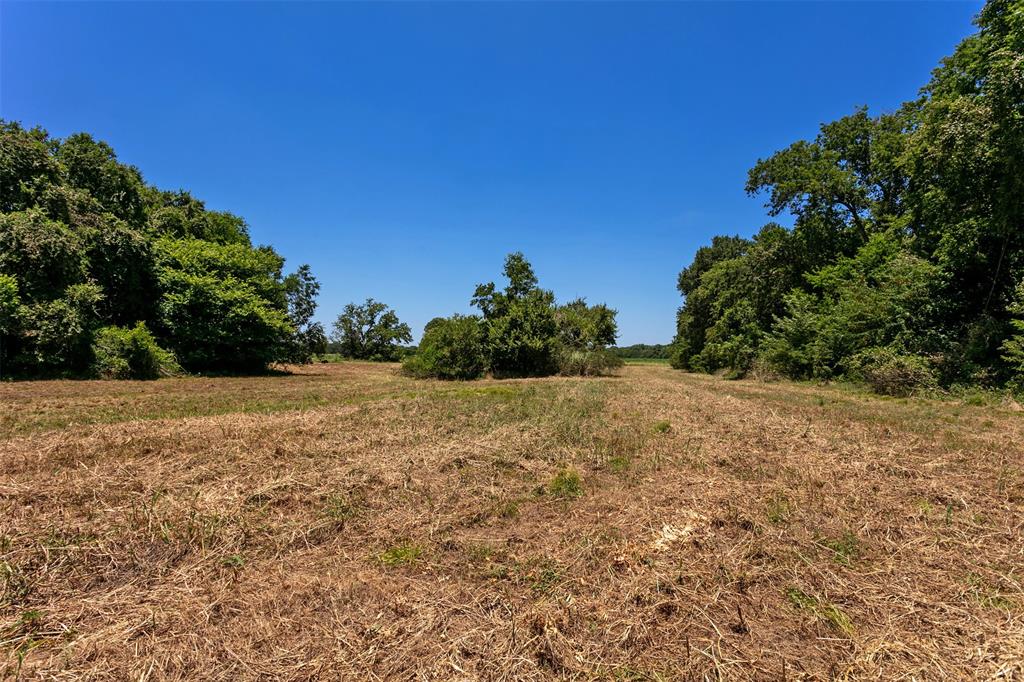 0000 Fm 413 / County Road 246  , Marlin, Texas image 6