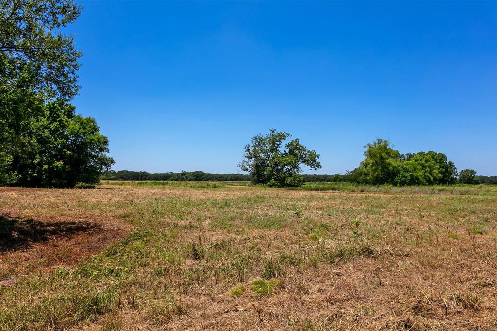 0000 Fm 413 / County Road 246  , Marlin, Texas image 10