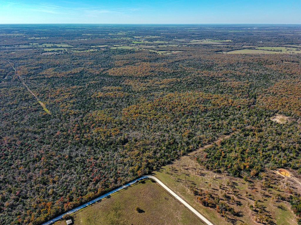 TBD 599 Acres Lcr 700  , Kosse, Texas image 11