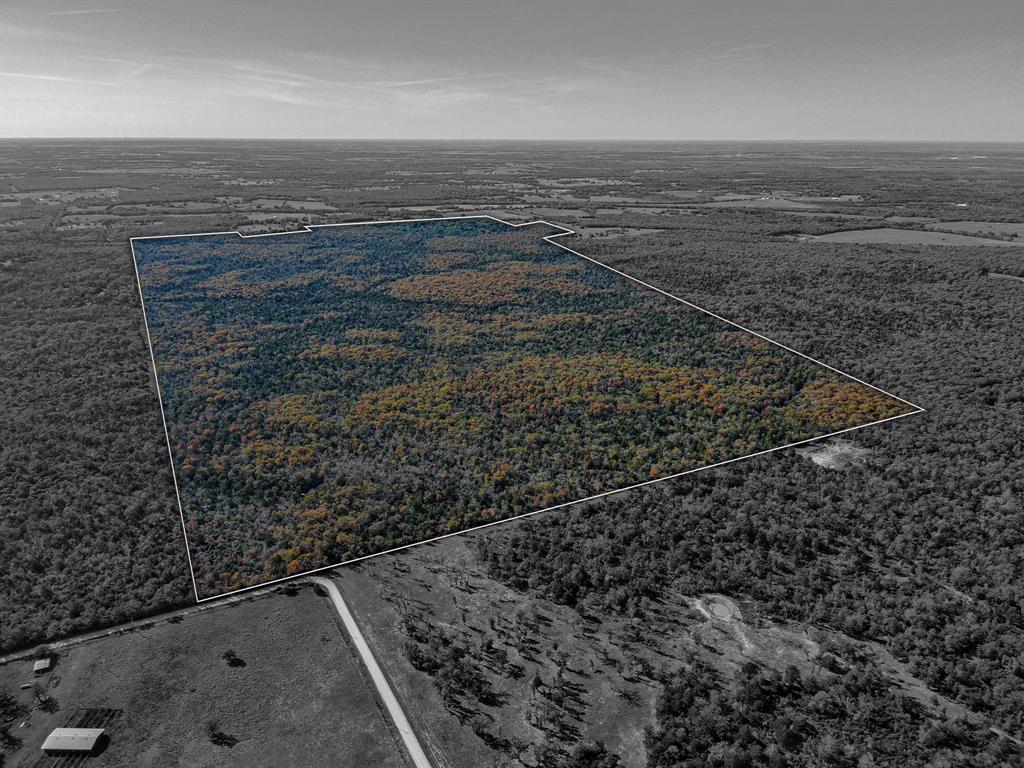 TBD 599 Acres Lcr 700  , Kosse, Texas image 12