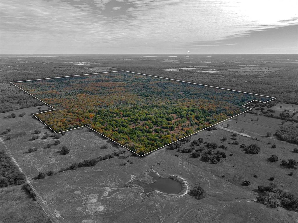 TBD 599 Acres Lcr 700  , Kosse, Texas image 4