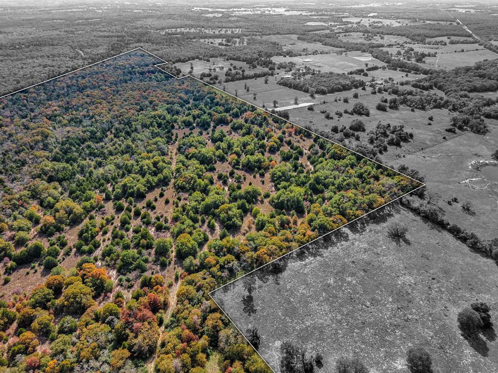 TBD 599 Acres Lcr 700  , Kosse, Texas image 5