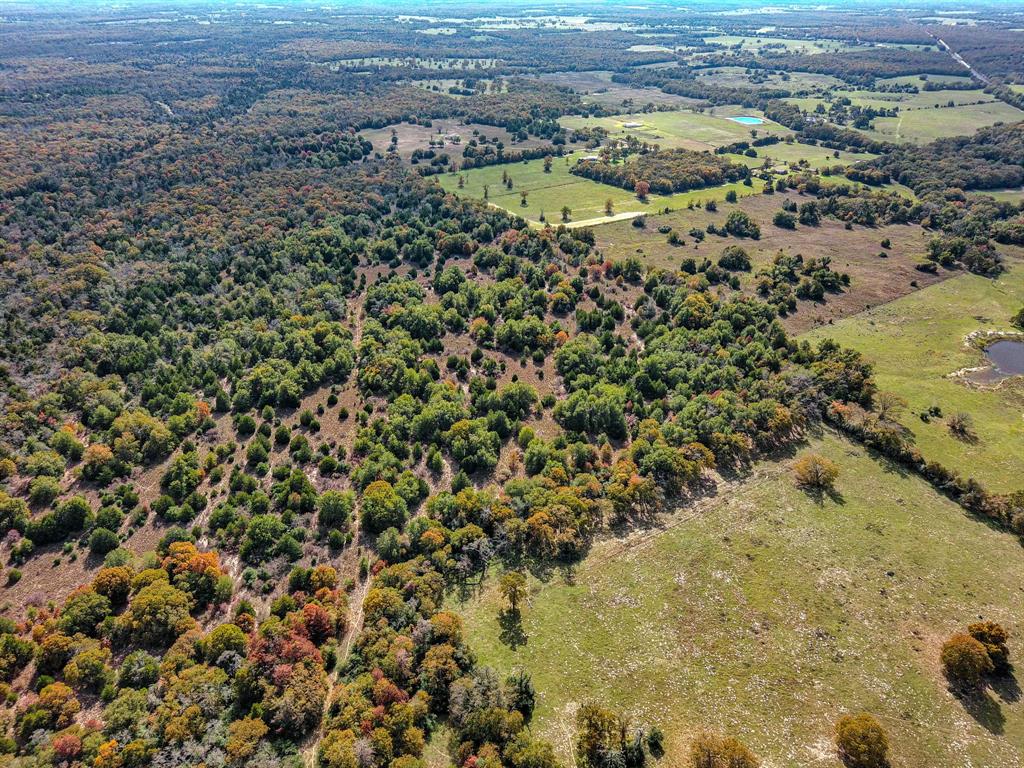 TBD 599 Acres Lcr 700  , Kosse, Texas image 6