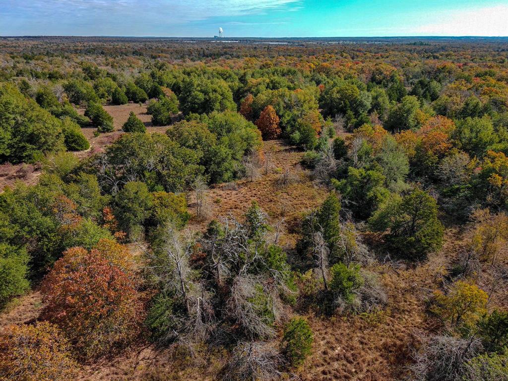 TBD 599 Acres Lcr 700  , Kosse, Texas image 7