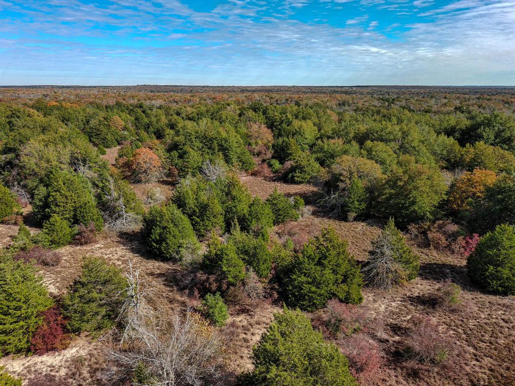 TBD 599 Acres Lcr 700  , Kosse, Texas image 8