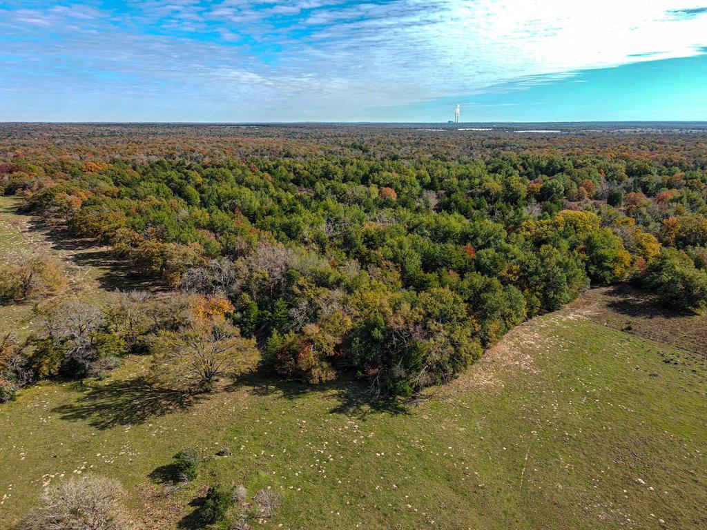 TBD 599 Acres Lcr 700  , Kosse, Texas image 9