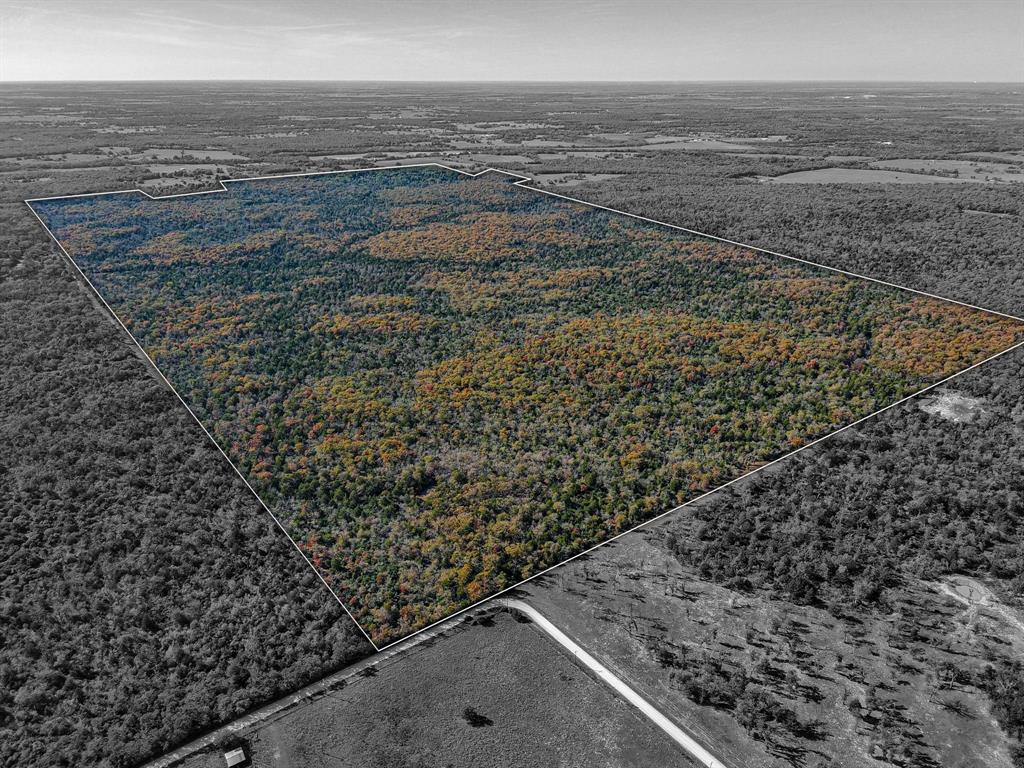 TBD 599 Acres Lcr 700  , Kosse, Texas image 10