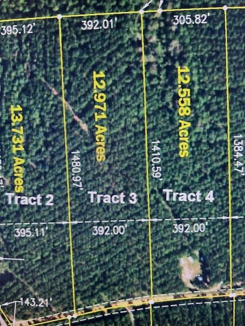 Come enjoy this 12.971-acre tract in the much sought after Big Sandy School District.  This tract has power available from Sam Houston Electric Coop.  The tract has been replanted in pine timber so you can let it grown or turn the land into pastureland.  This tract is only a few miles from the Naskila Casino which is growing and tons of opportunities. The land is lightly restricted, and you can build your new home or move in a manufactured home.  Don’t miss out on owning your own piece of land in the country.  This land is very affordable and will make a great investment!  Make your choice of only 4 tracts left that are available.