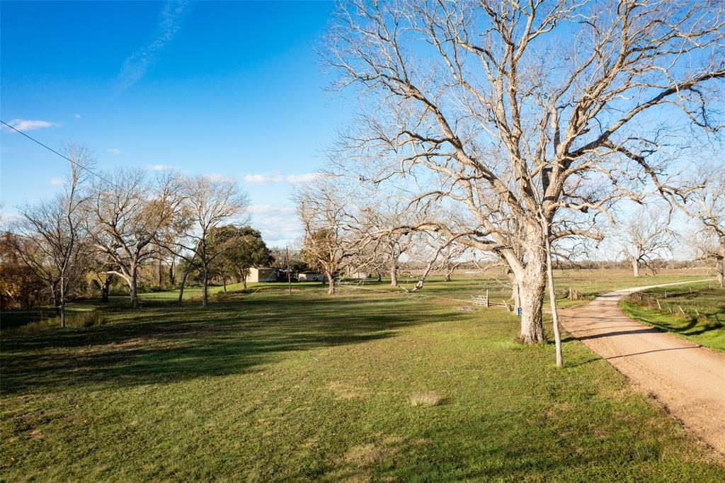 Entrance to the private drive to the left surround by mature pecan trees