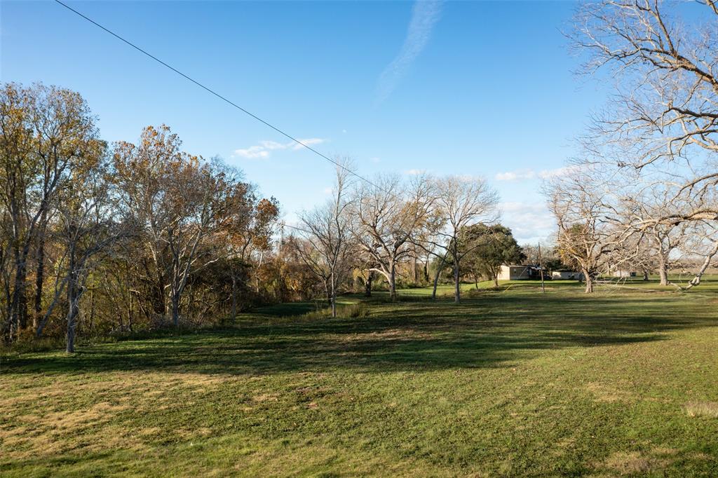 Closer view of the cleared land