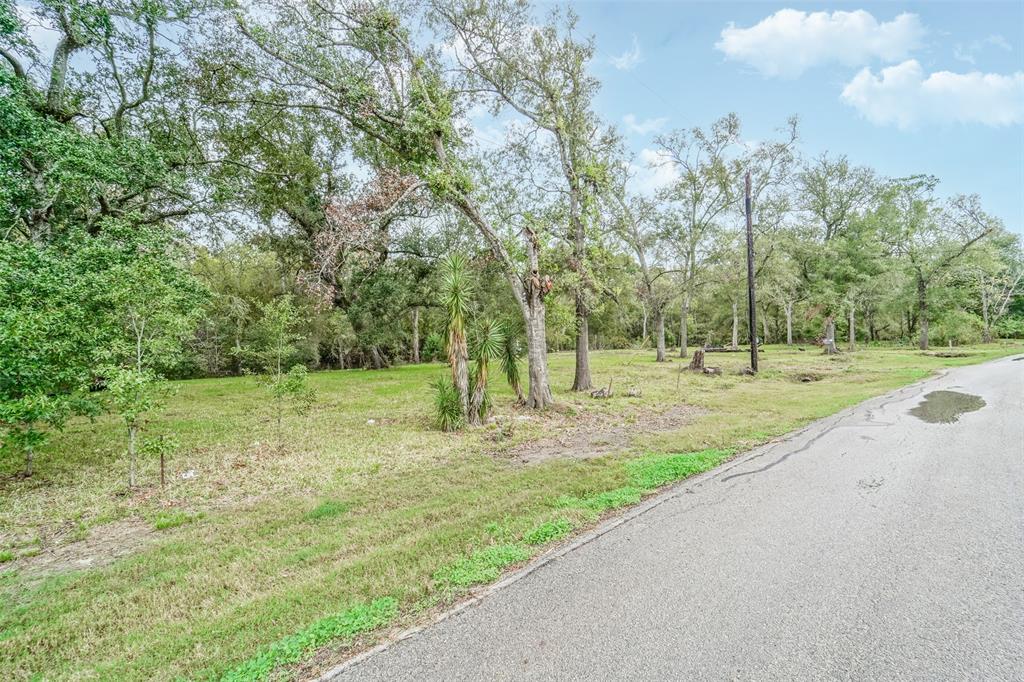 14607 Susie Lane , Alvin, Texas image 4