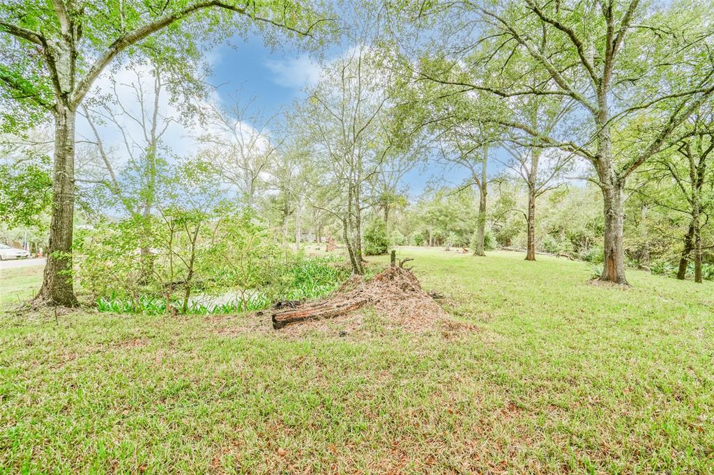 14607 Susie Lane , Alvin, Texas image 7