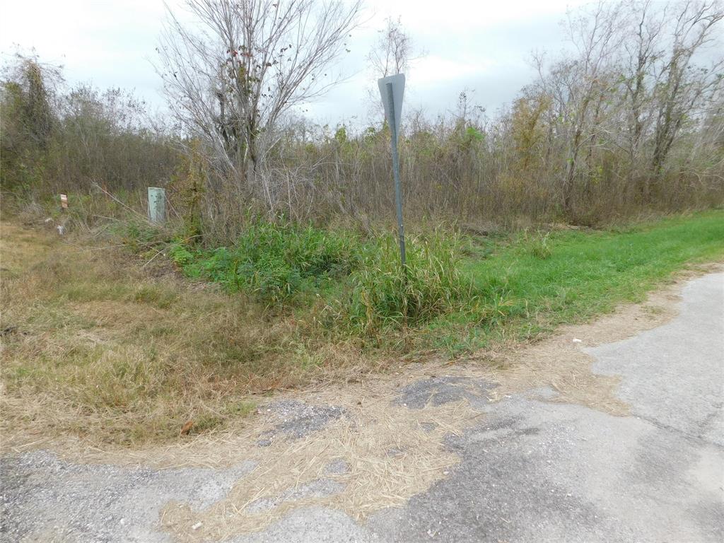 316 & 627 County Road  , Brazoria, Texas image 4