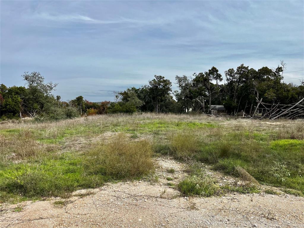 Meadow near the front of the property.