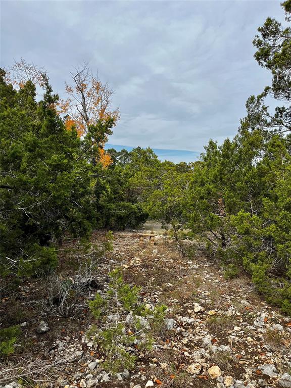 The cabin is located by the front / road side of the property. Picture taken from the back of the property toward Ghost Dancer Rd. Limestone from the acreage makes an interesting border for gardens and paths.