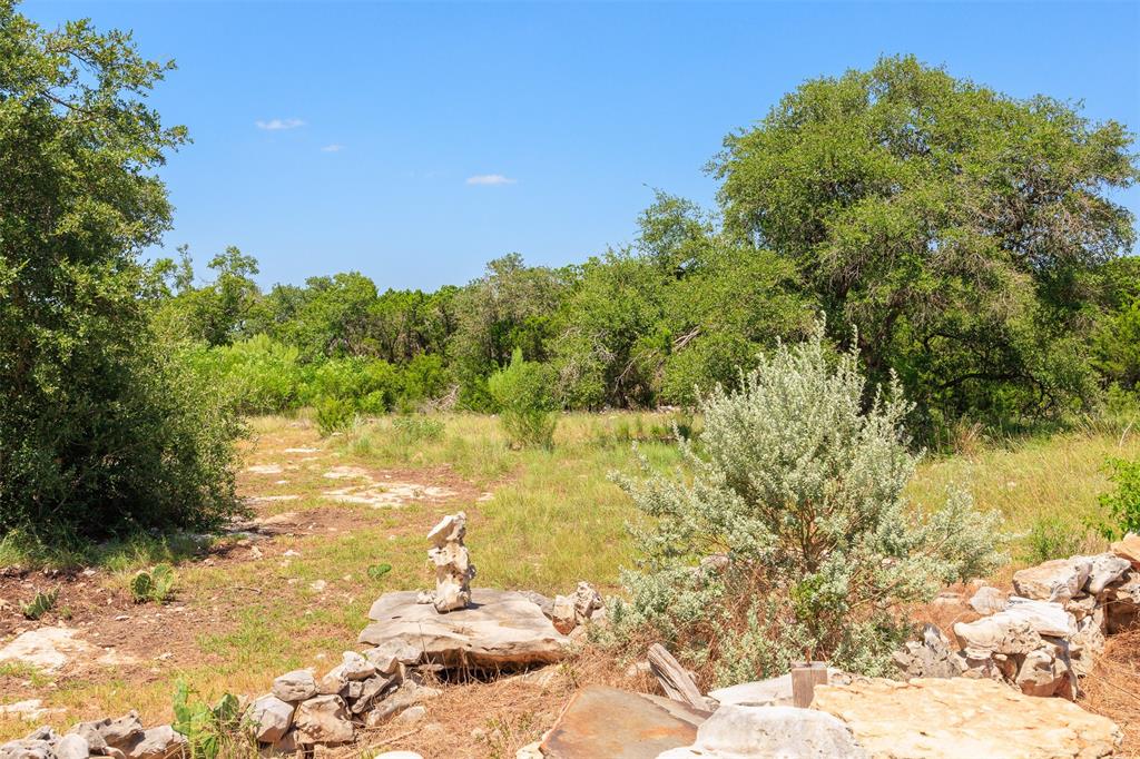 One of a few cleared areas on the property.