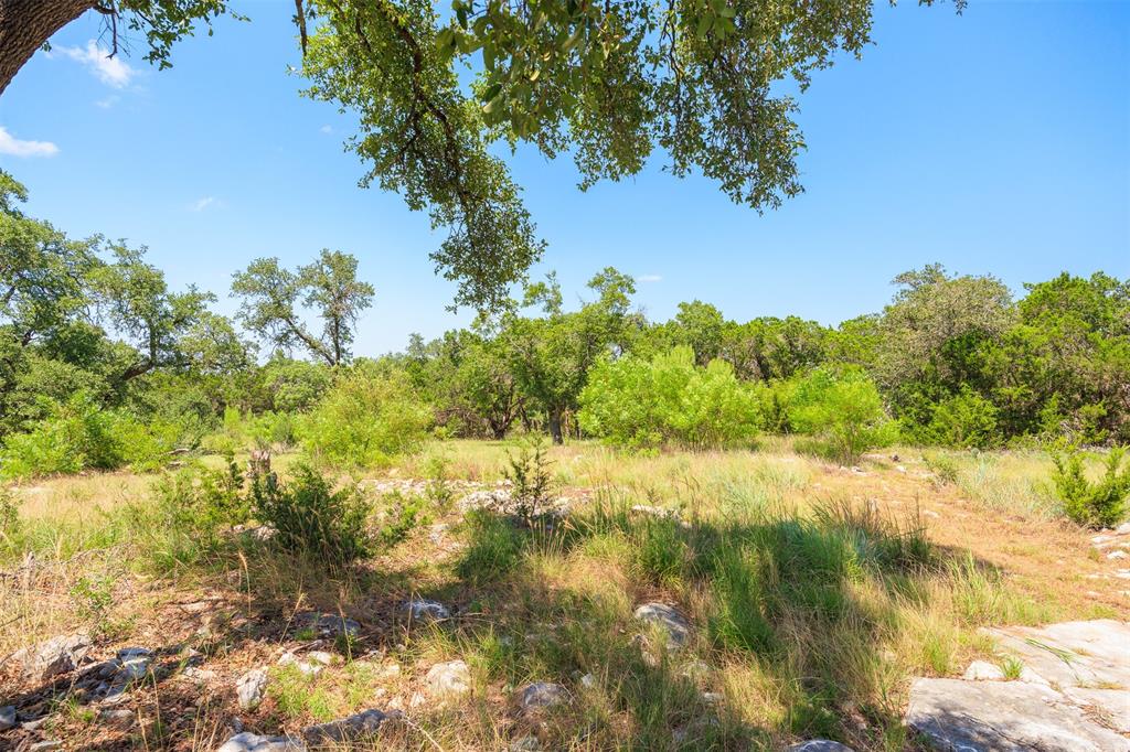 Another partially cleared area on the property.