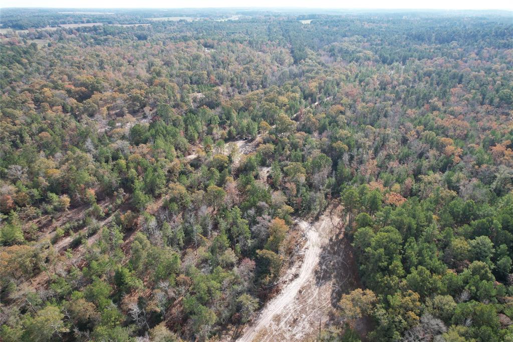 TBD Cr 2300  , Grapeland, Texas image 12