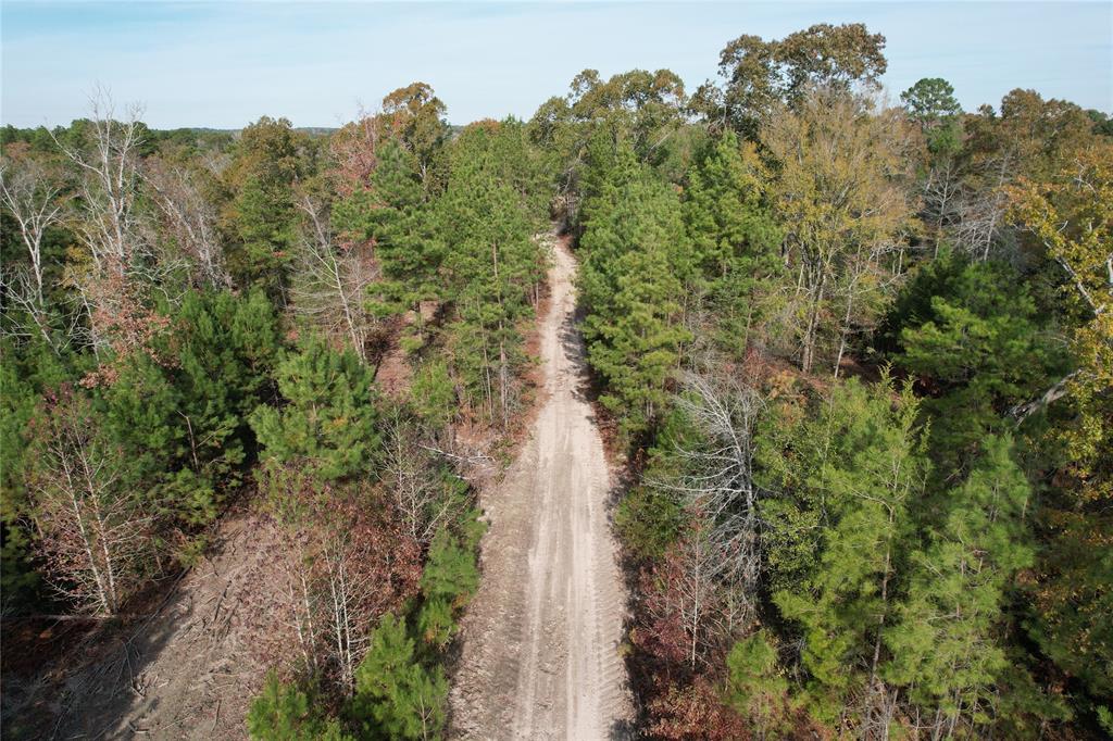 TBD Cr 2300  , Grapeland, Texas image 16