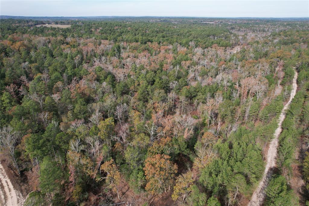 TBD Cr 2300  , Grapeland, Texas image 18