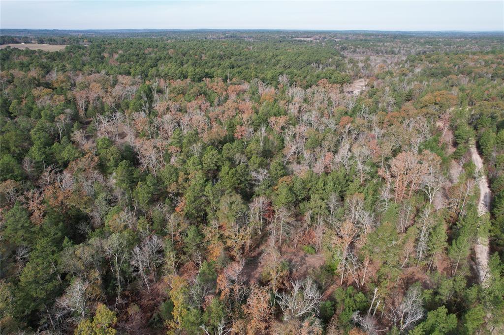 TBD Cr 2300  , Grapeland, Texas image 19