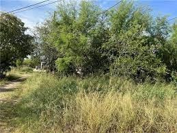 000 Tract 24, Beeville, TX 78102