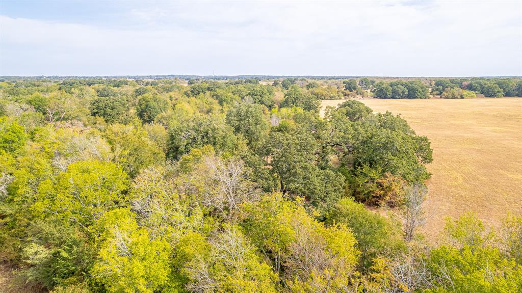 3333 Malone Road , Midway, Texas image 7