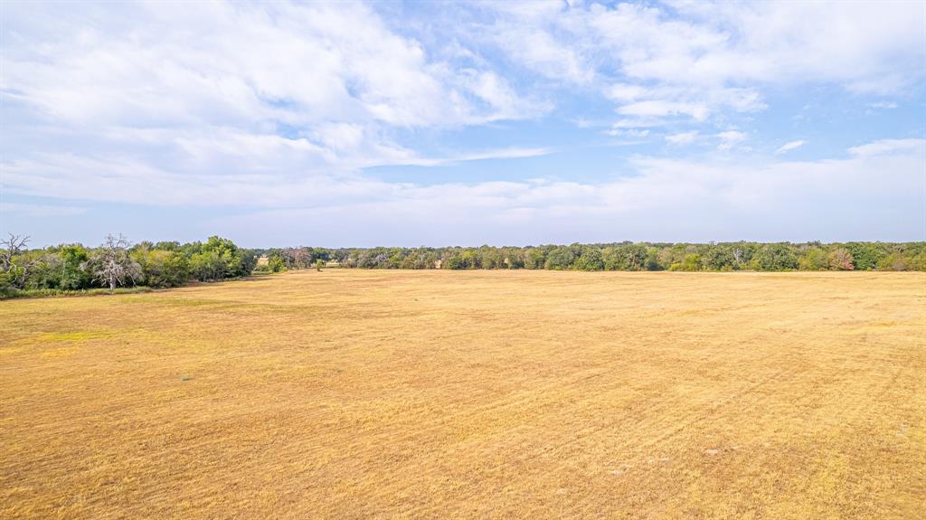 3333 Malone Road , Midway, Texas image 9