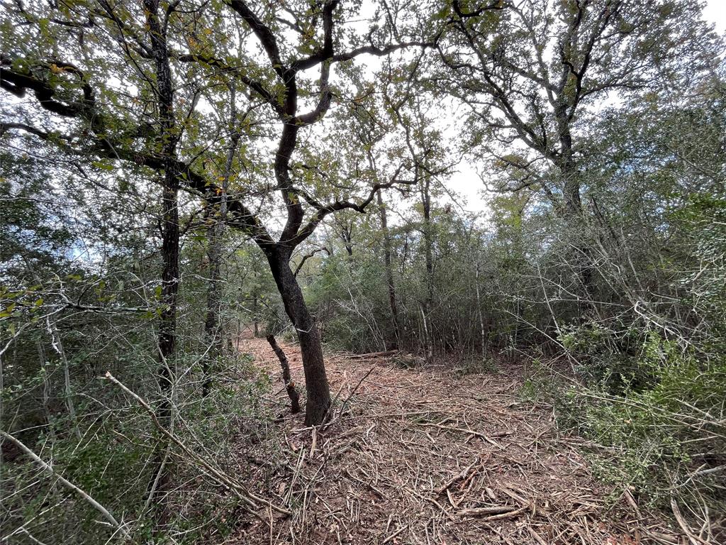 4369 COUNTY ROAD 127, LEDBETTER, TX 78946