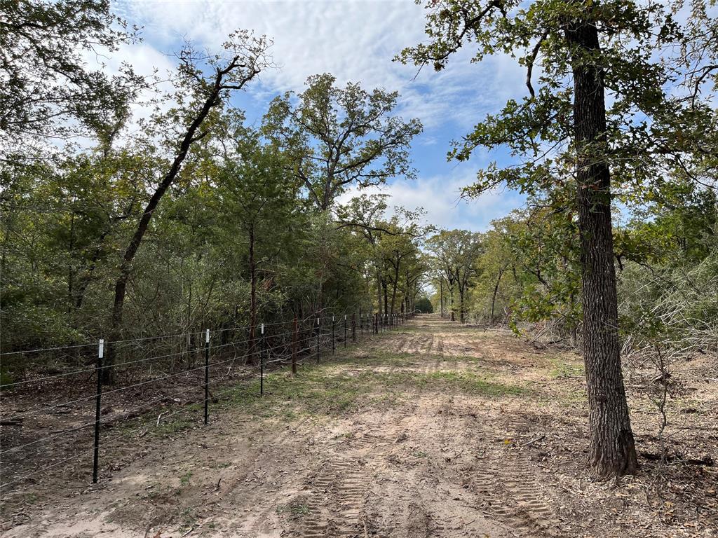 4369 COUNTY ROAD 127, LEDBETTER, TX 78946