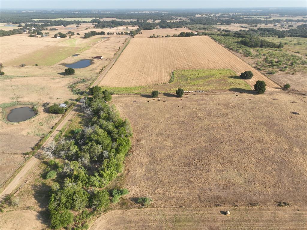 TBD County Road 404  Ne, Dime Box, Texas image 11