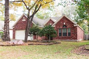 163 Willow Point, The Woodlands, TX 77382