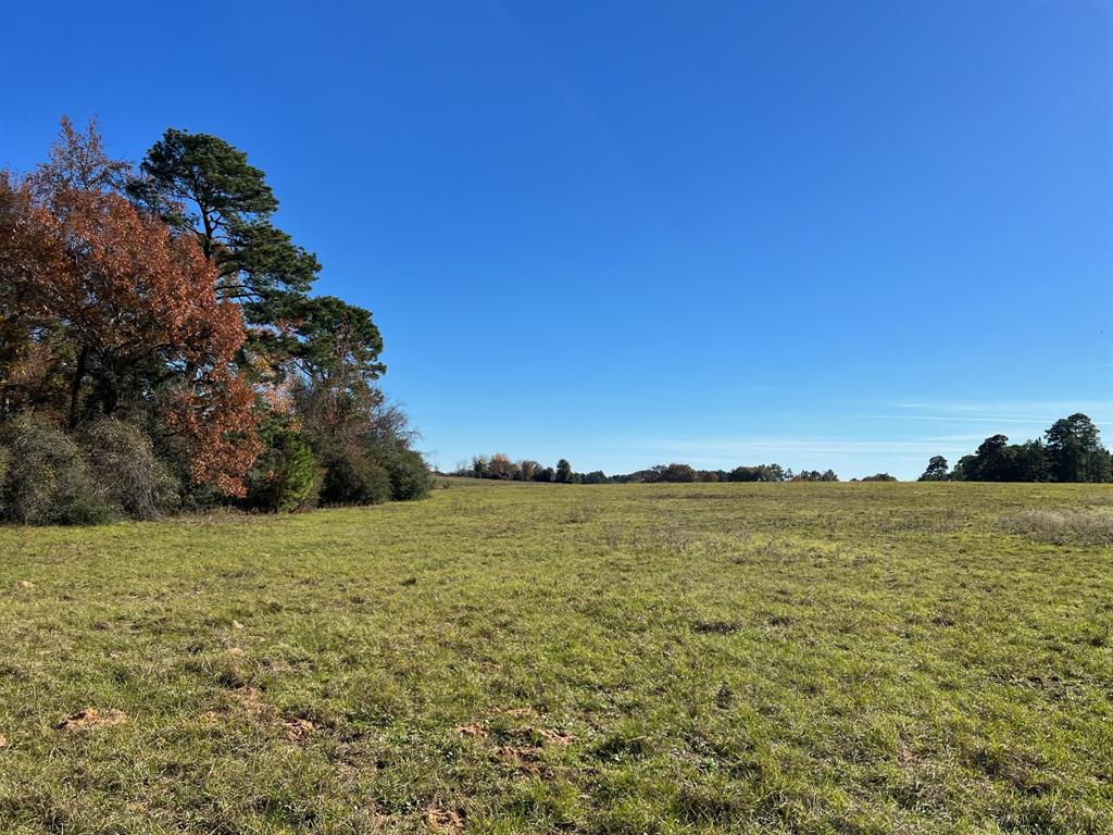 141 Ac Cr 114  , Centerville, Texas image 13