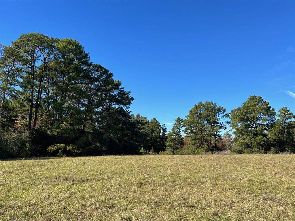 141 Ac Cr 114  , Centerville, Texas image 15