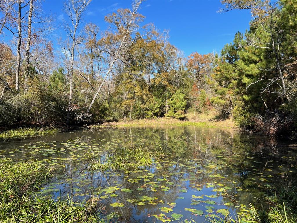 141 Ac Cr 114  , Centerville, Texas image 16